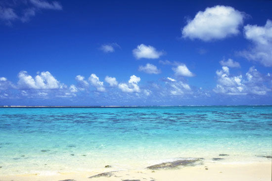 海天一色