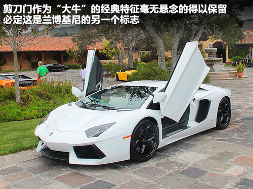兰博基尼  LP700-4 6.5 AT