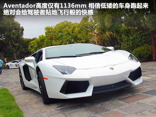 兰博基尼  LP700-4 6.5 AT
