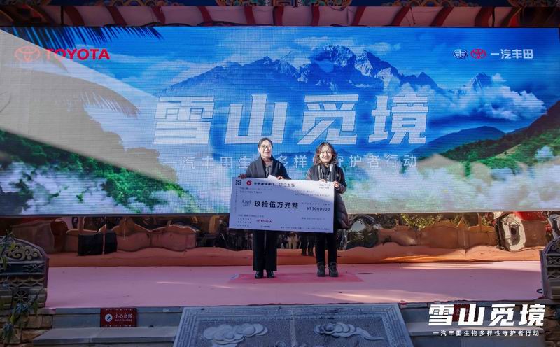 雪山觅境2021年一汽丰田