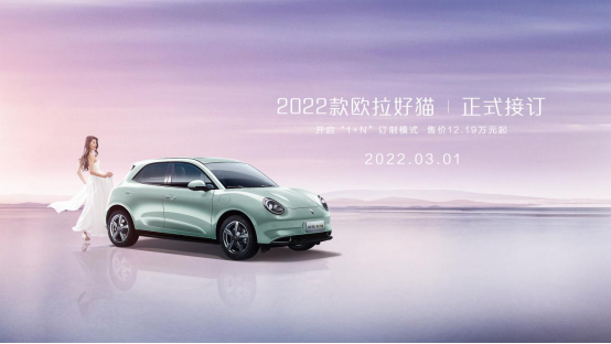 2022款欧拉好猫1+N模式开