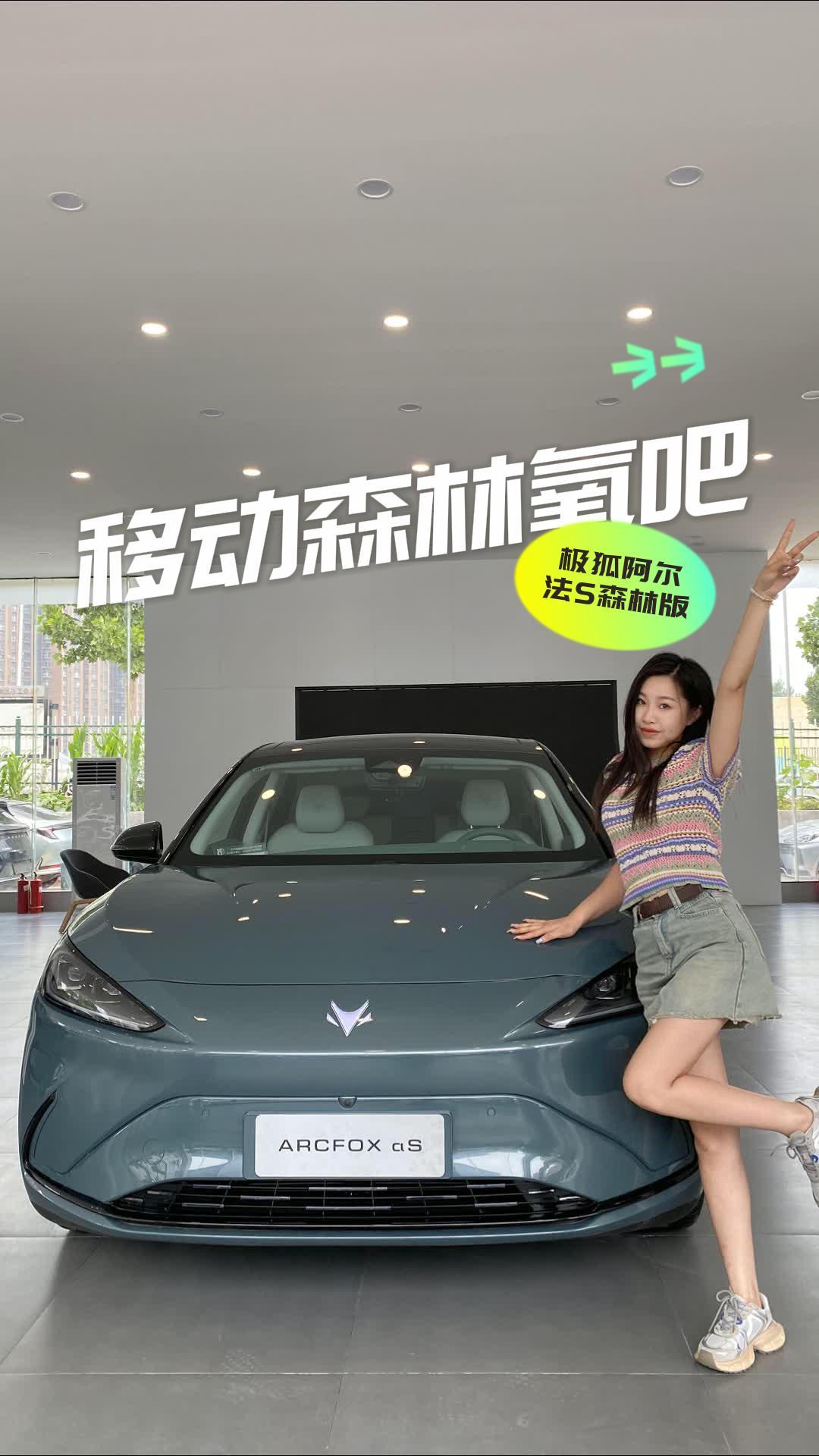 把“森林”搬到了车内？
