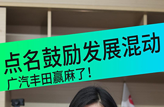 稳定燃油，鼓励混动！车