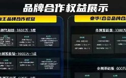 网传懂车帝冬测品牌权益