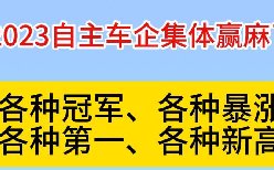 2023自主车企集体赢麻了