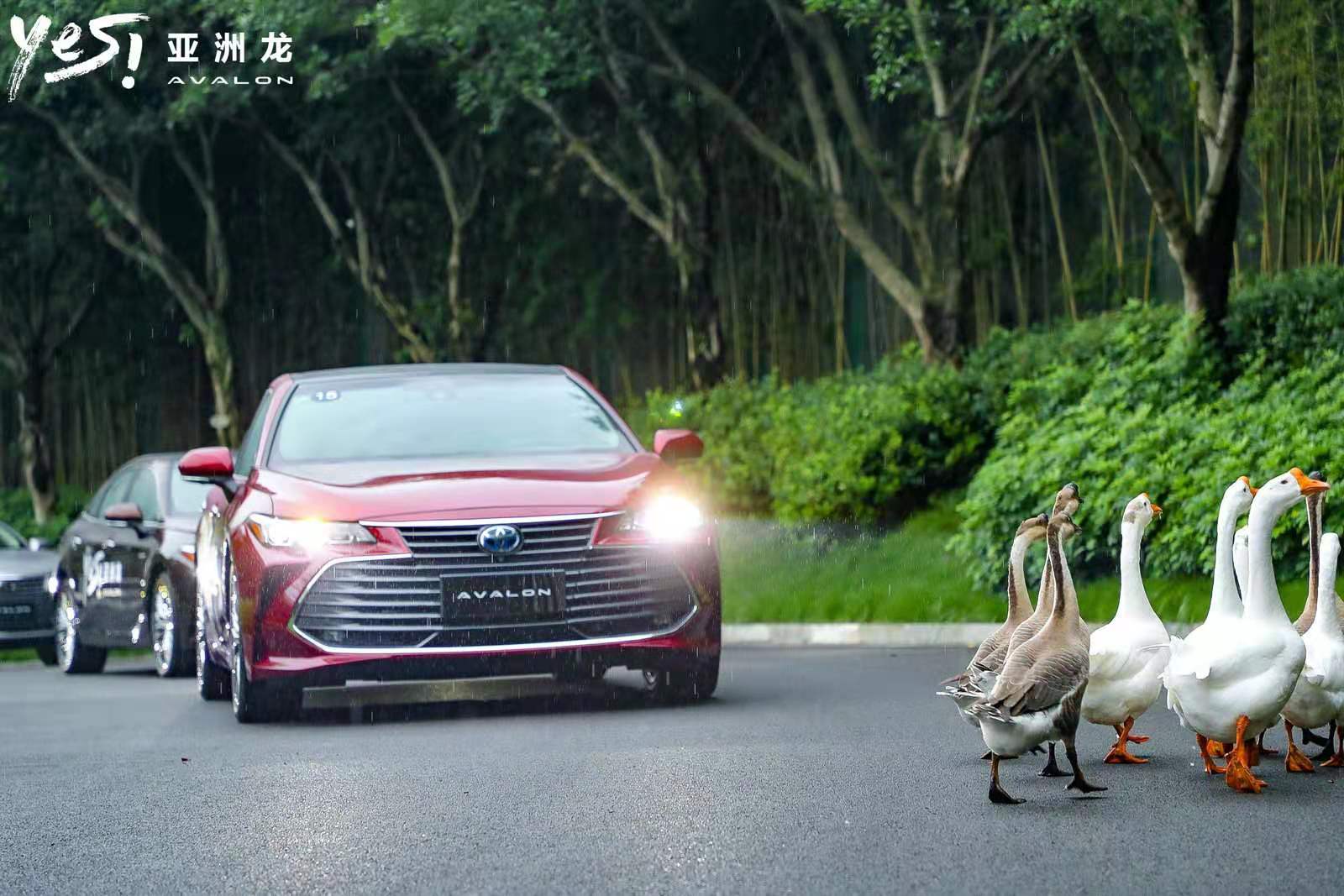 图片2.jpg