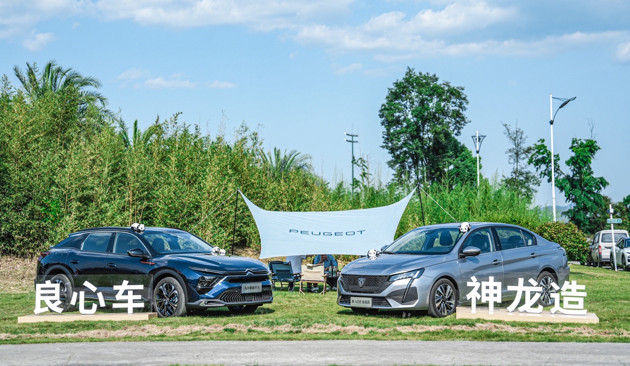 车市内卷之下，神龙汽车